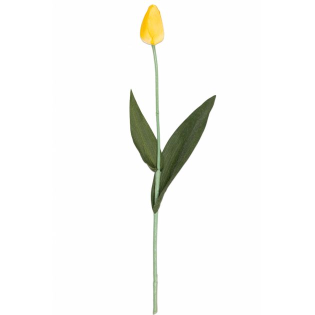 400033_1__yellow