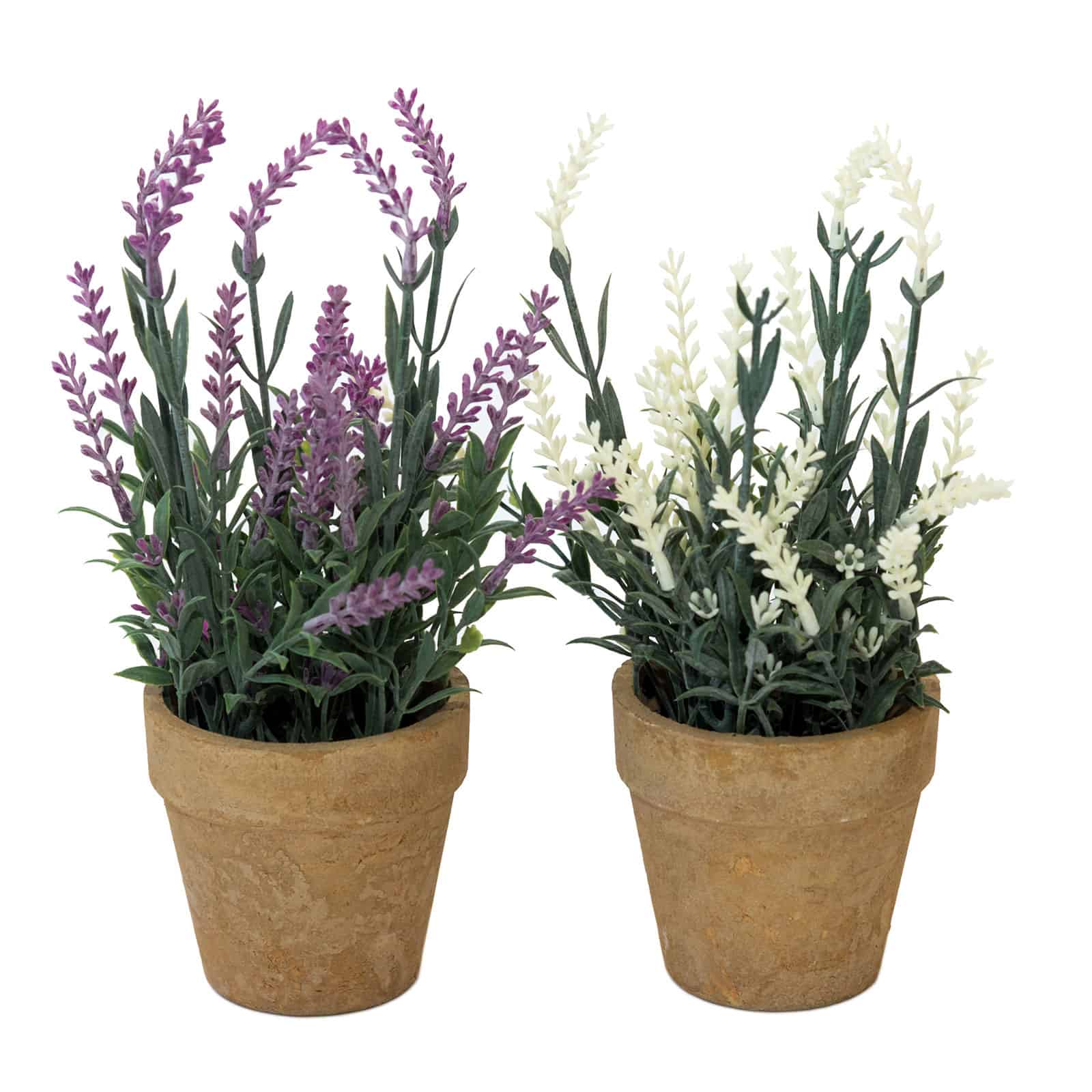 izkustvena-lavandula-v-kashpa-2-tsvyata